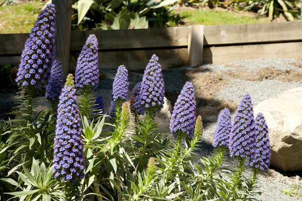 Abris de piscine : explorez les options sur mesure pour vous