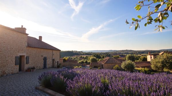 Top critères pour sélectionner un spécialiste anti nuisibles en Vaucluse
