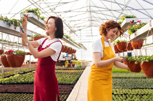 Pépinière en ligne : découvrez des arbres fruitiers bio et anciens