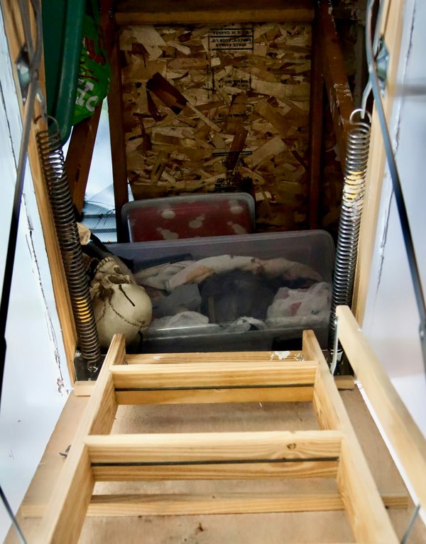 Kit bois maison : personnalisez et construisez votre extension écologique